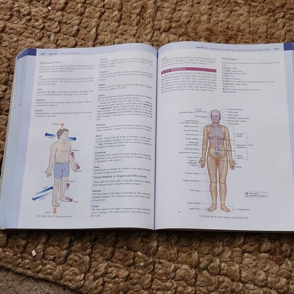 Massage Therapy Book Susan Salvo - Picture 9 of 9